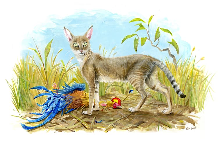 A Q&A With Children’s Book Author/Illustrator Eric Losh
