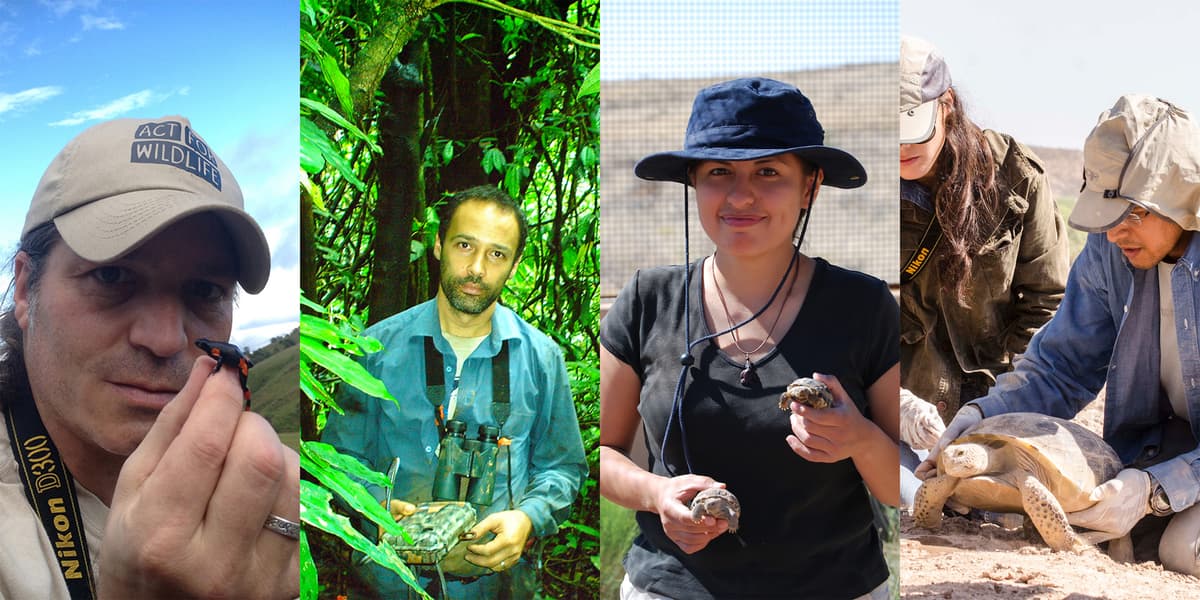 Wildlife Conservationists To Be Honored In New York For Extraordinary Efforts To Recover Imperiled Species