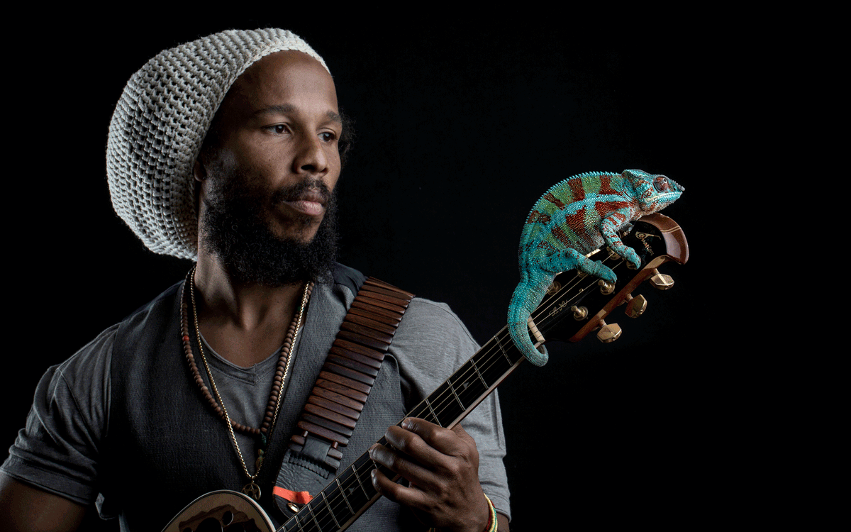 Earth In Concert: Protecting The Planet Through Music