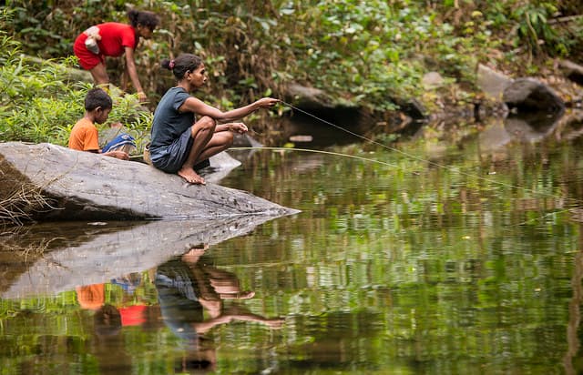 Newly Declared Critical Habitat In Palawan Secures Promising Future For Irreplaceable Forests And Wildlife Species
