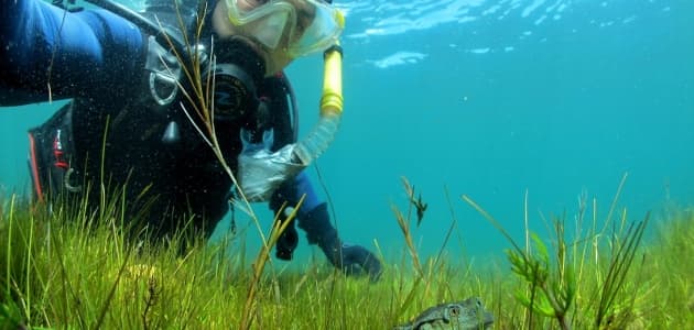 Wildlife Conservationists Honored In New York For Recovery Of Imperiled Species