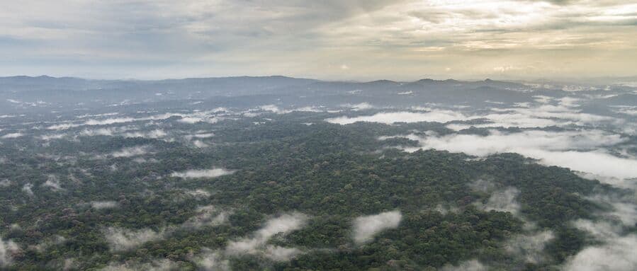 Grassroots Plan Sprouts to Protect the Forests of Indio Maíz