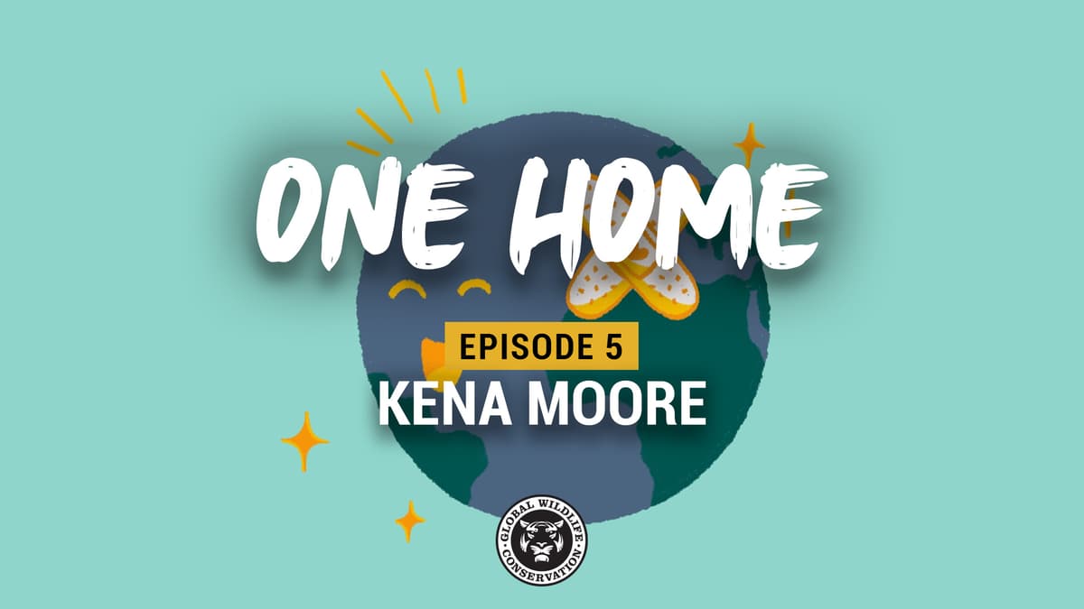 VIDEO ALERT: 8-Year-Old Budding Conservationist Kena Moore Shares His Earth Day Story