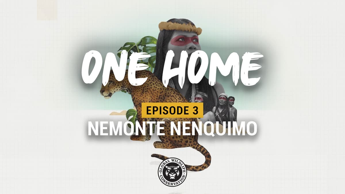 VIDEO ALERT: Waorani Leader Nemonte Nenquimo Shares Her Earth Day Story