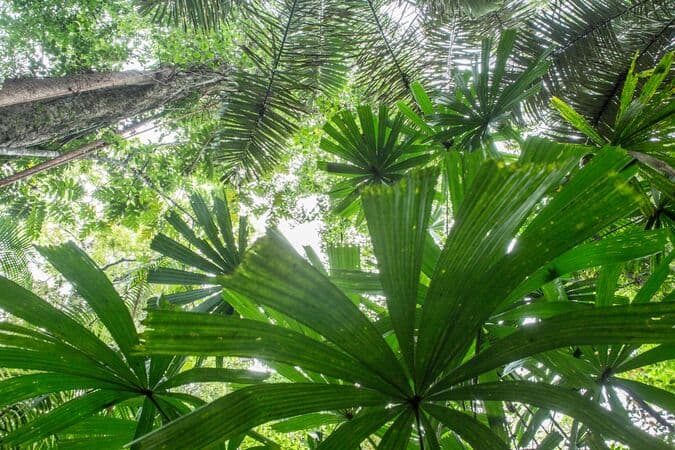 How COVID-19 is Affecting the World’s Protected and Conserved Areas