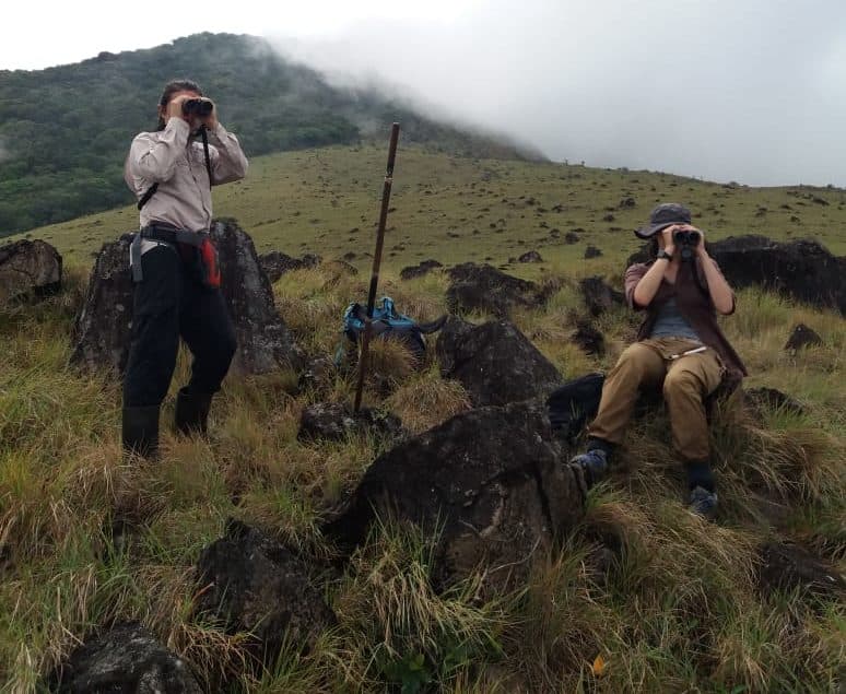 The Search for Costa Rica’s Most Mysterious Hummingbird