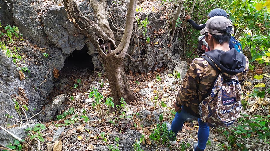 The Search for the Ilin Island Cloudrunner, Lost to Science for 66 Years