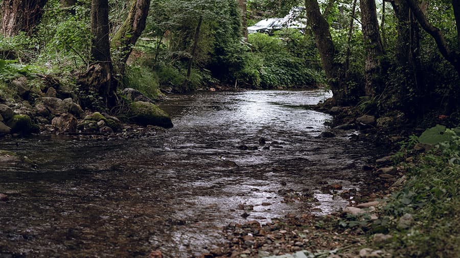 The Fight to Keep the Kruščica River Wild
