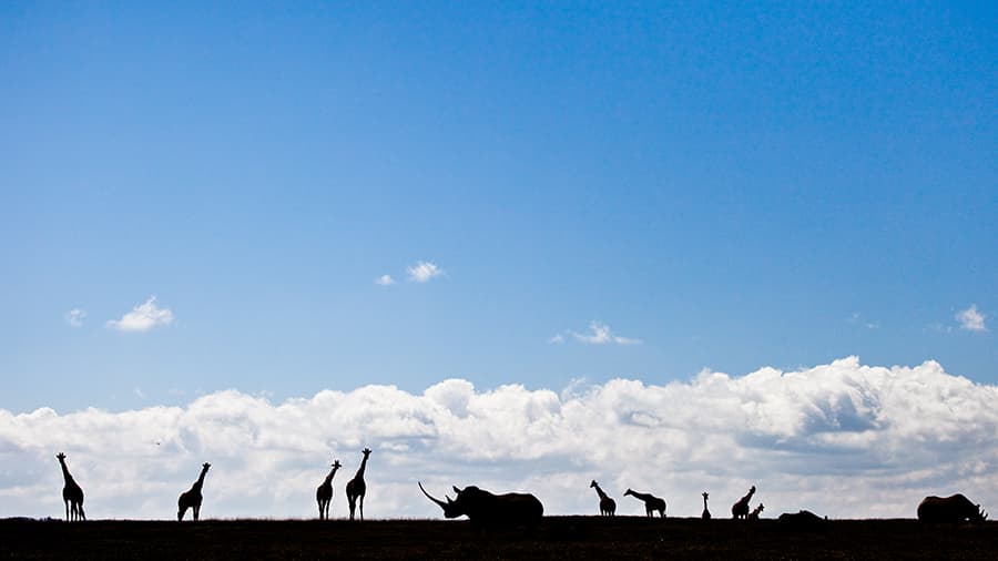 Where are all the biodiversity data?