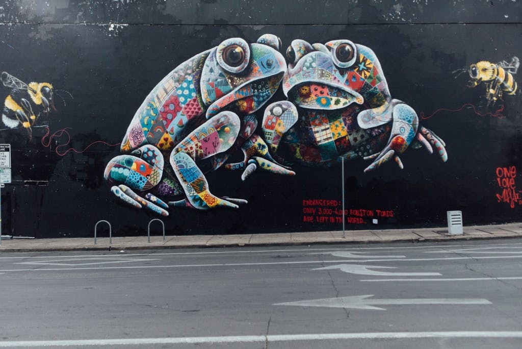 Colorful Mural Of Houston Toad Illuminates Downtown Austin