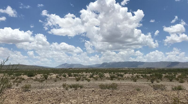 New Desert Refuge in Mexico to Provide Critical Habitat for Wildlife