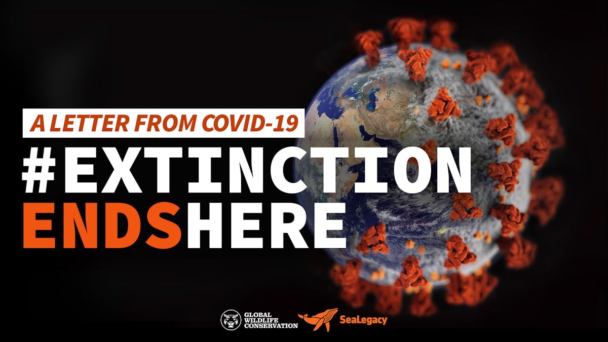 VIDEO RELEASE: A Letter from COVID-19 and Videos Featuring Celebrities, Environmental Advocates Mark the 50th Anniversary of Earth Day
