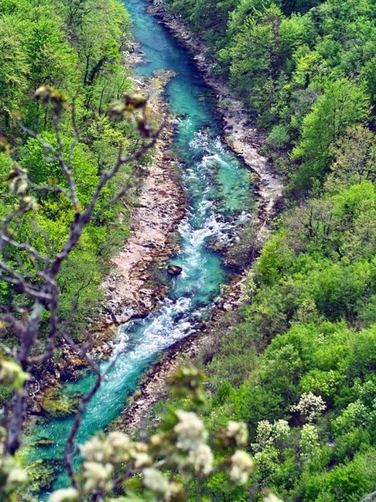 Freshwater Conservationists Worldwide Implore Federation of Bosnia and Herzegovina to Permanently Protect Europe’s Last Wild Rivers