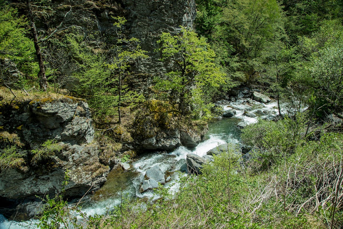 In Response to Global Call to Protect Europe’s Last Wild Rivers, Federation of Bosnia and Herzegovina Ends Subsidies for Small Hydropower Projects