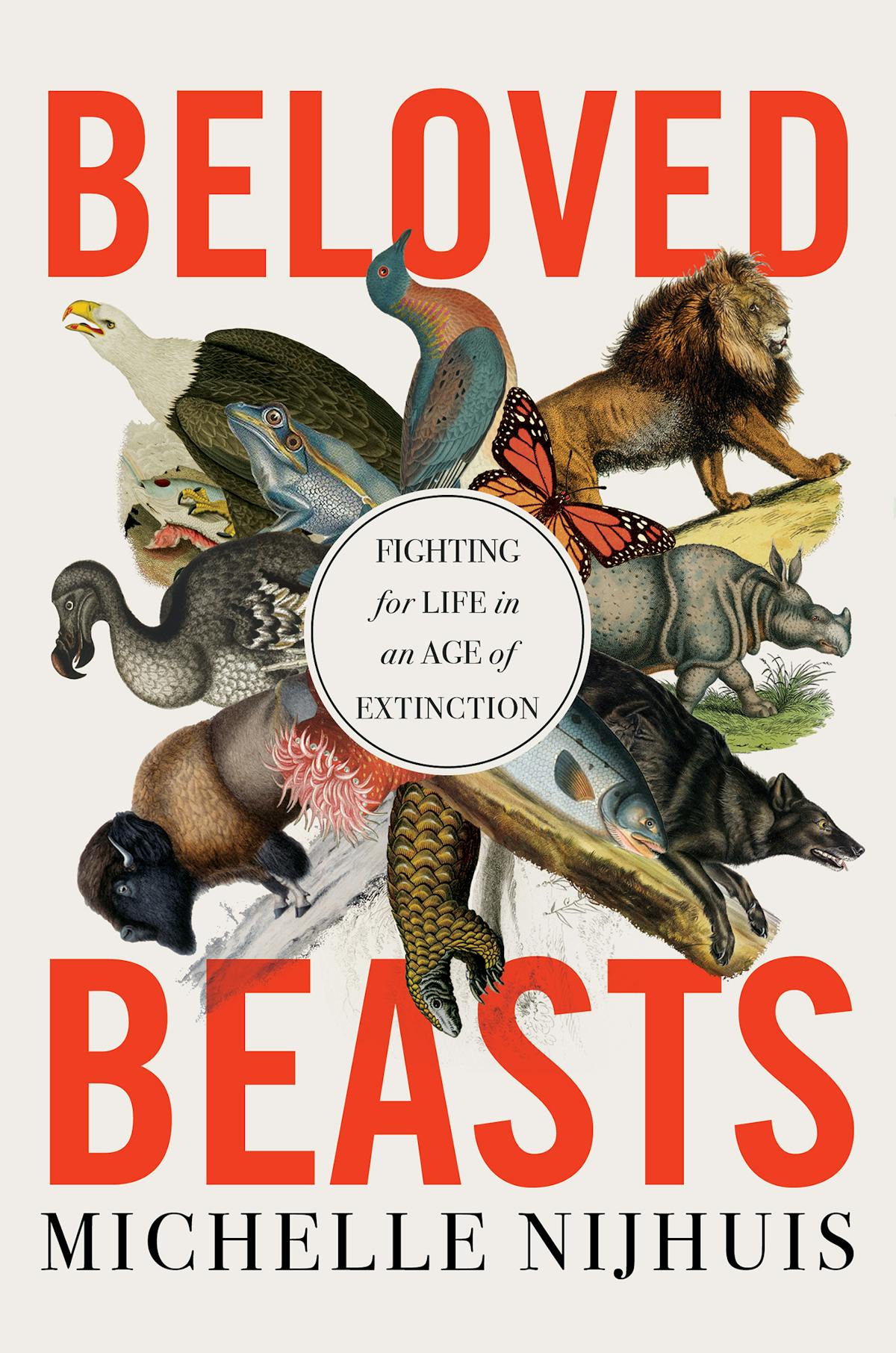 Cover of Beloved Beasts: Fighting for life in an age of extinction by Michelle Nijhuis. 