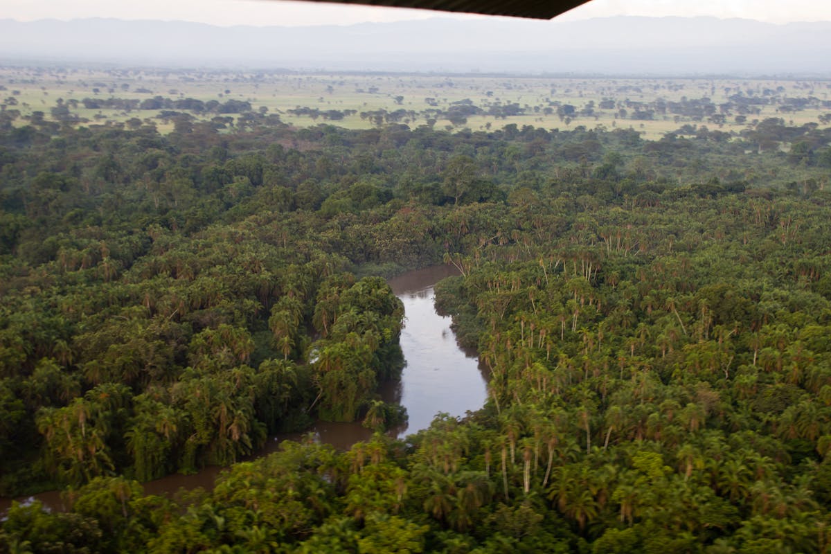 Rwindi River running through the DRC's Virunga National Park.