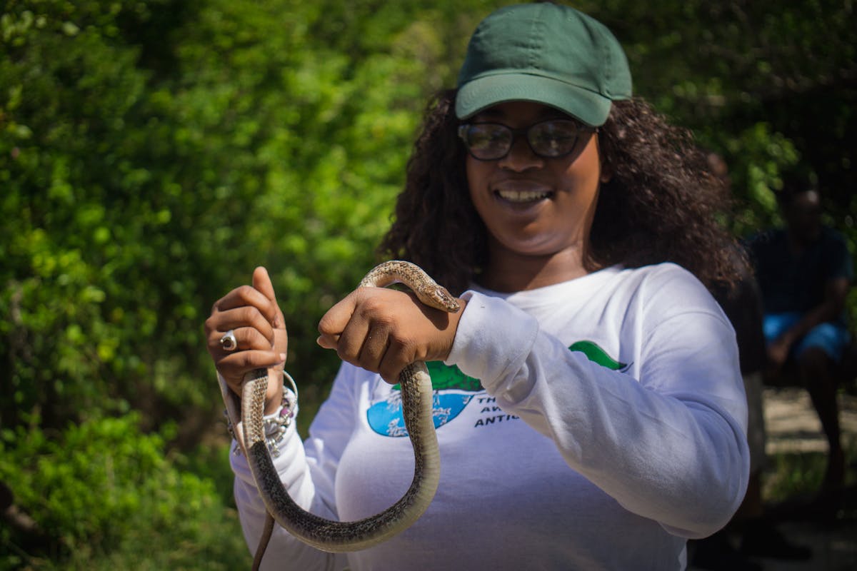 Shanna Challenger, the offshore island conservation program coordinator for the Environmental Awareness Group, holding an Antiguan Racer. (Photo courtesy of Fauna & Flora International)
