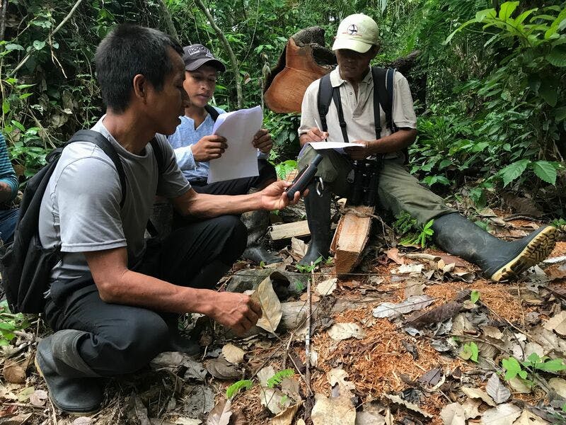 Sugpon: Strengthening our collective efforts to protect forests and promote Indigenous rights