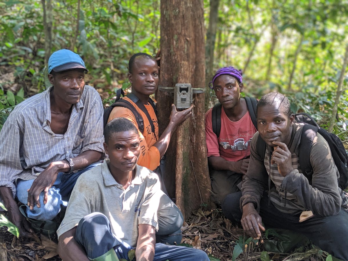 The research team setting up camera traps in the Nimba Mountains. (left front) Doro Zogbila. (from left to right) Fokayé Zogbila, Gnan Mamy, Gouanou Zogbila, Cé Samy. (Photo by Maegan Fitzgerald) 