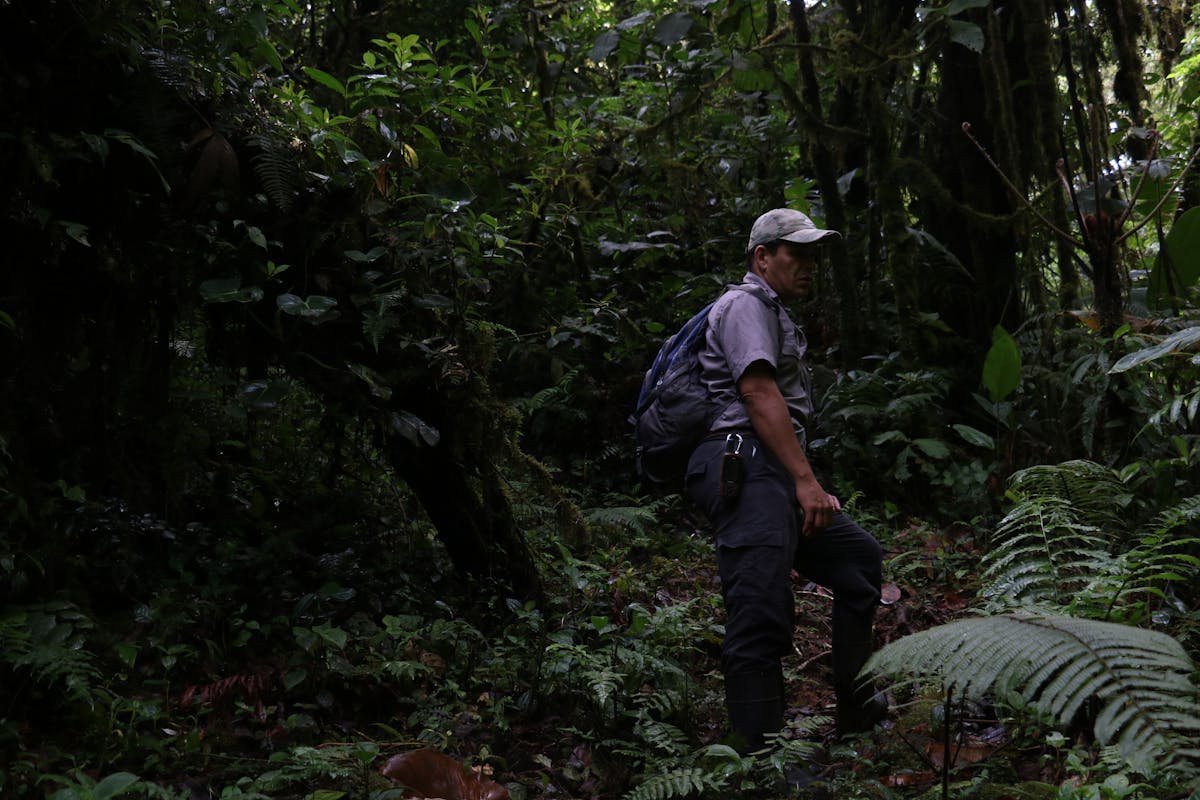 Luis Solano, former head of maintenance for the Children's Eternal Rainforest in Monteverde, Costa Rica. (Photo by Trevor Ritland)