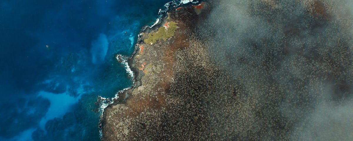  A bold plan to rewild the Galápagos will start with Floreana Island 
