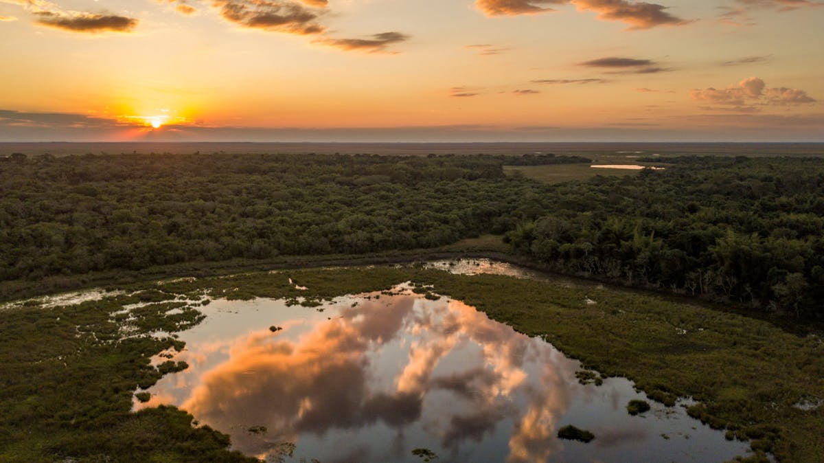 Iberá National Park in Argentina, which is now home to Jaguars, reintroduced to the wild by Rewilding Argentina and Tompkins Conservation. (Photo courtesy of Tompkins Conservation)