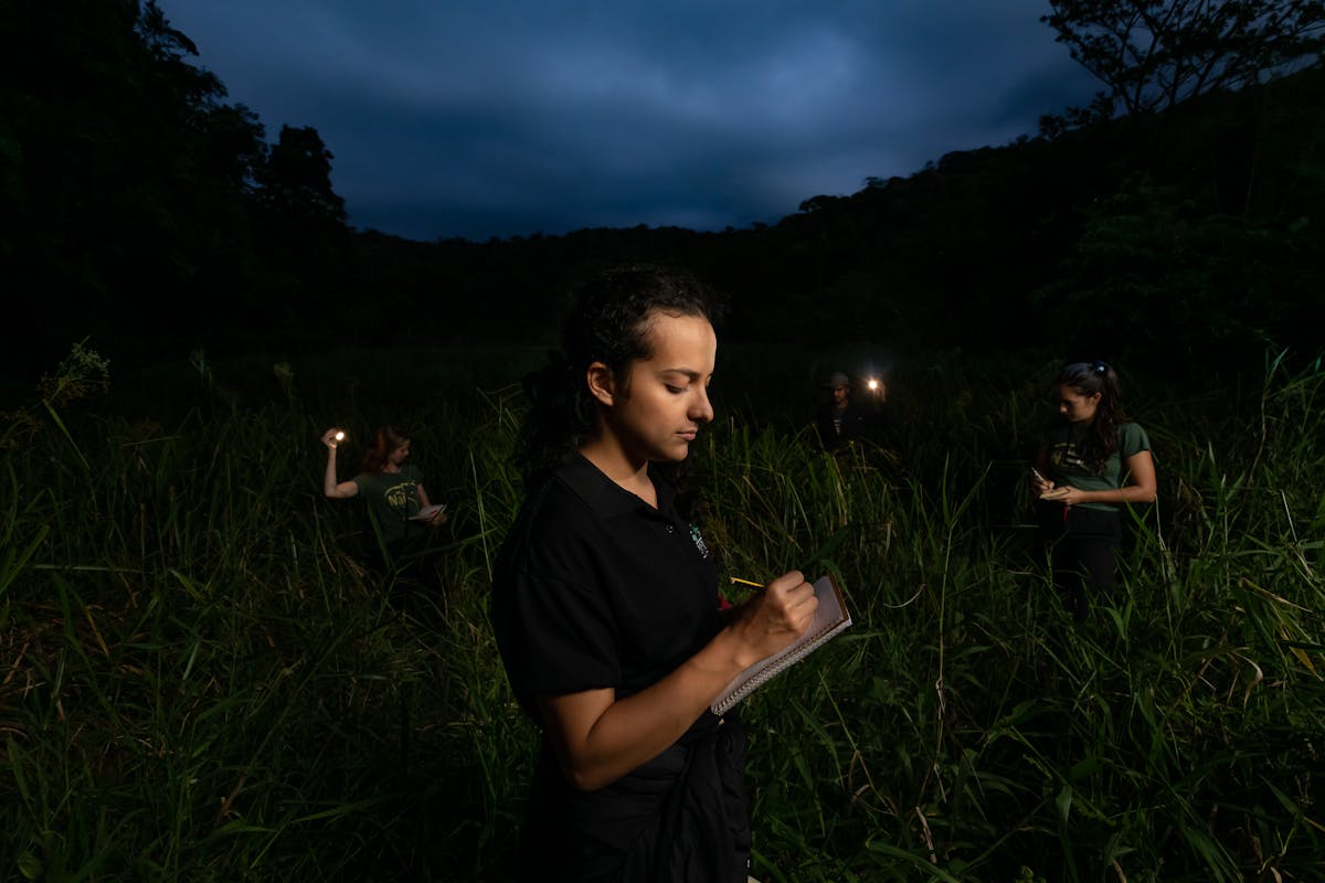 A small team, including Donald Varela Soto's two young daughters, searched Tapir Valley Nature Reserve at night for several months looking for two Tapir Valley Tree Frogs in amplexus (a mating embrace). (Photo by Gregory Basco)