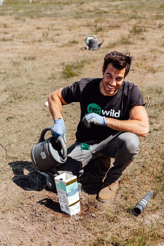 Dr. Evan Antin planting trees with Re:wild in the Santa Monica mountains. 