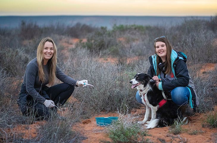 Samantha Mynhardt, post doctoral researcher at University of Pretoria and Esther Matthew, senior field officer with Endangered Wildlife Trust, with Jessie the scent-detection dog. (Photo by Nicky Souness)