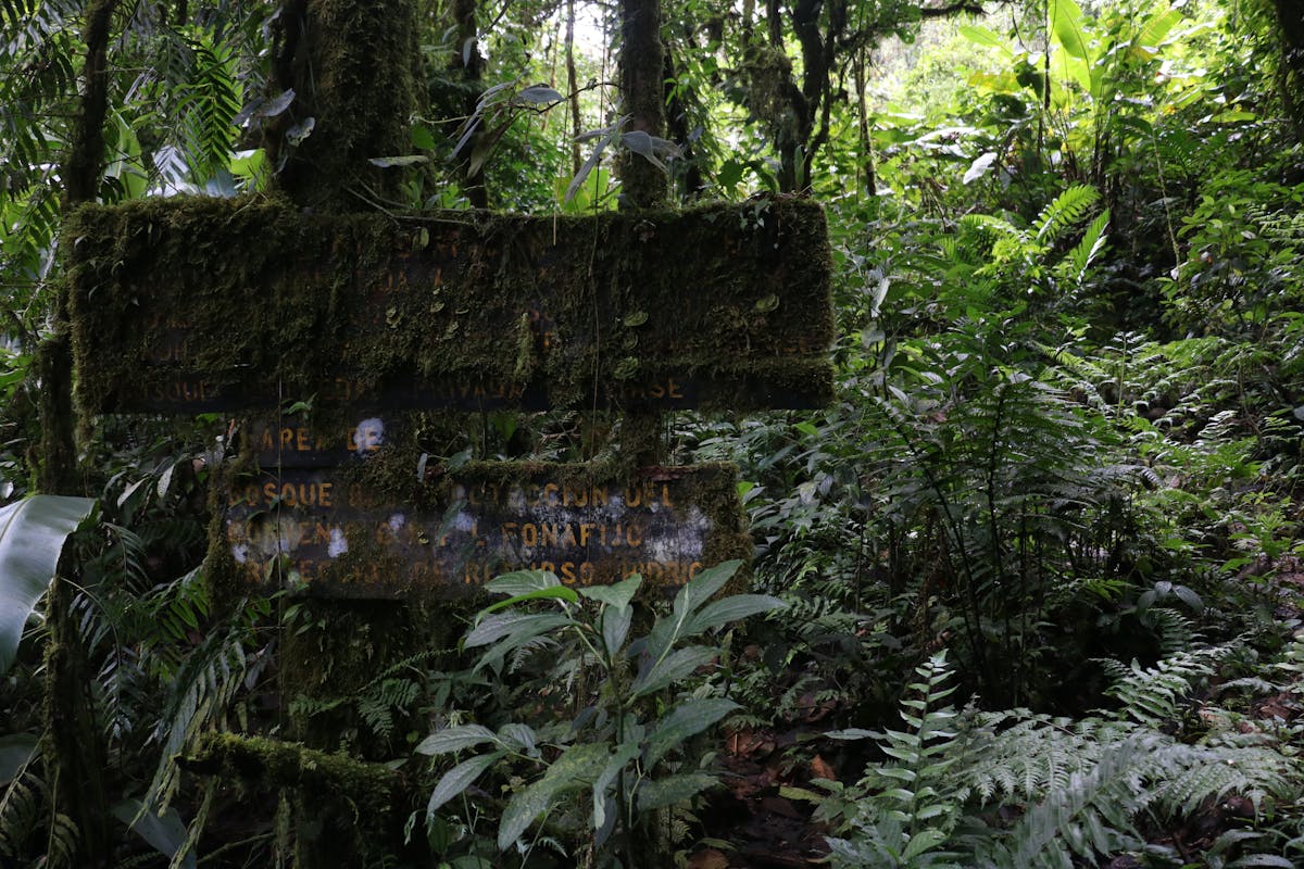 Sign in the Children's Eternal Rainforest. (Photo by Kyle & Trevor Ritland)