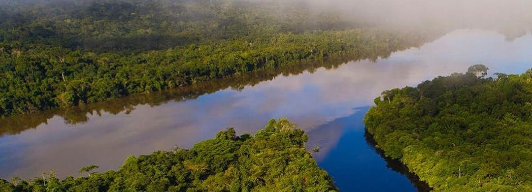 Protecting Our Planet Challenge plans to invest $200 million to help Brazil protect Amazonia