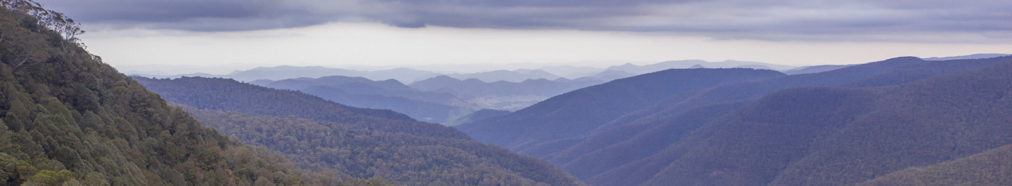 blueish colored mountains