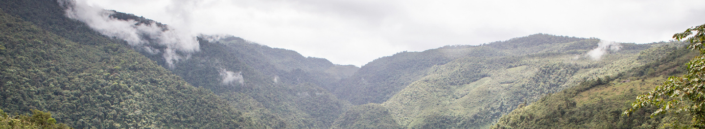 misty mountain landscape