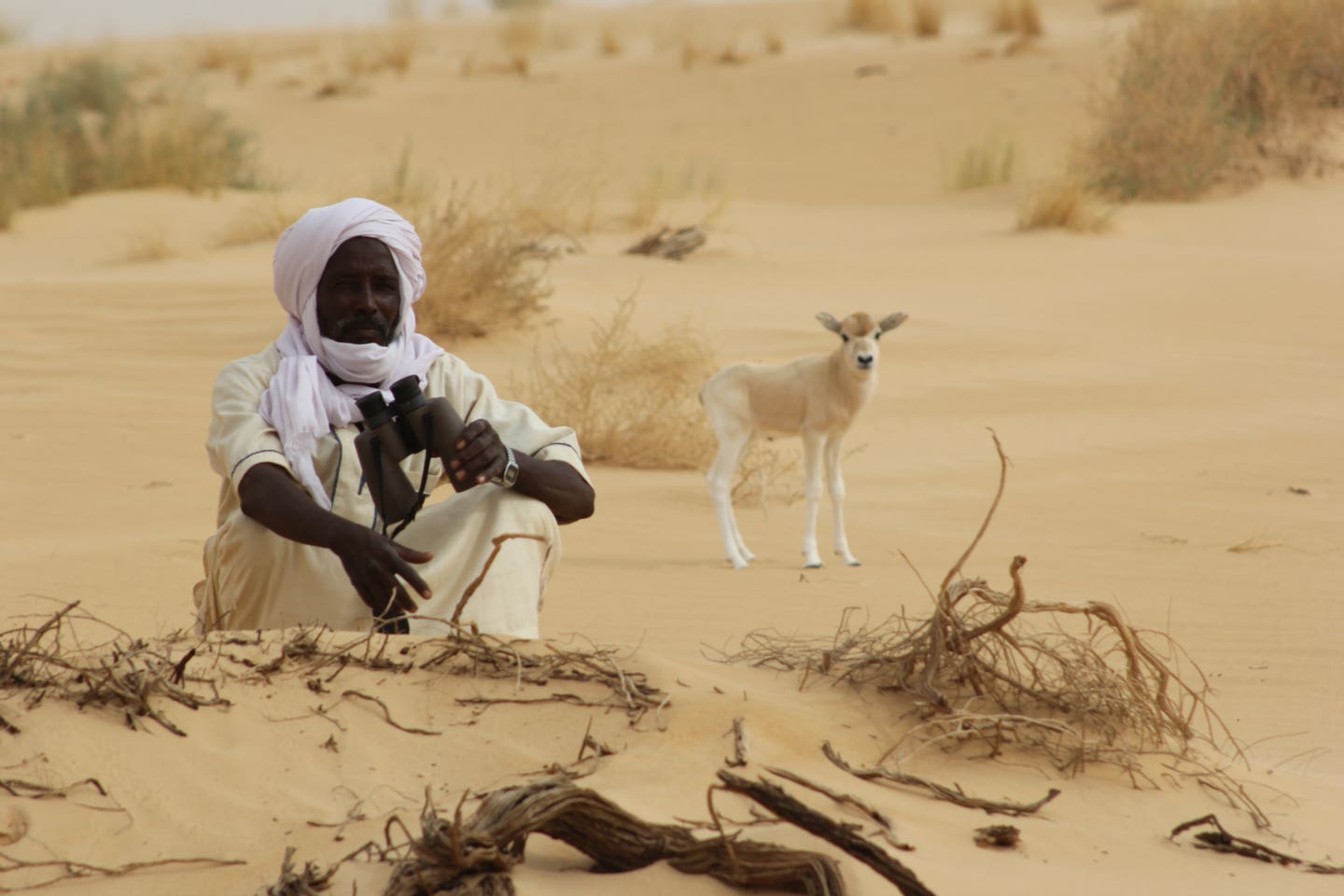 niger manwithbinoculars