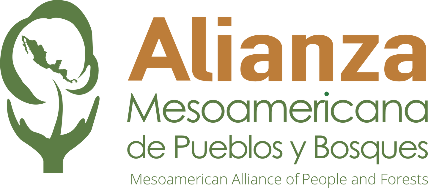 Mesoamerican Alliance for People and Forests (AMPB)