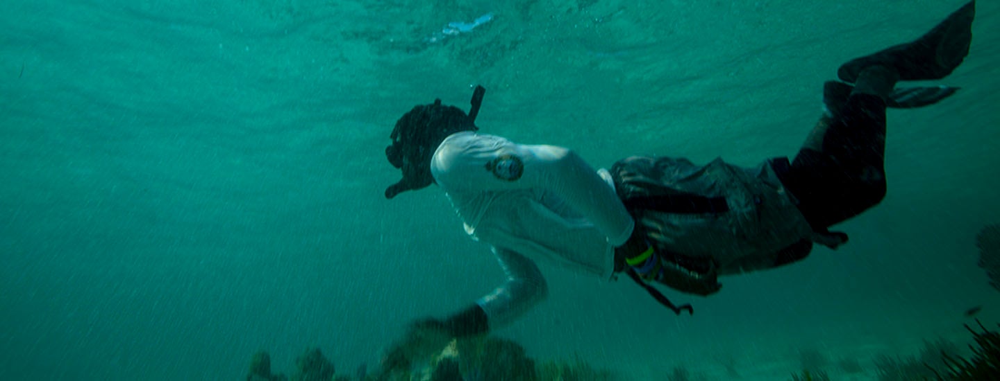 Snorkeling in the clear waters of The Bahamas