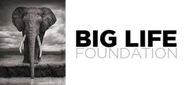 Big Life Foundation