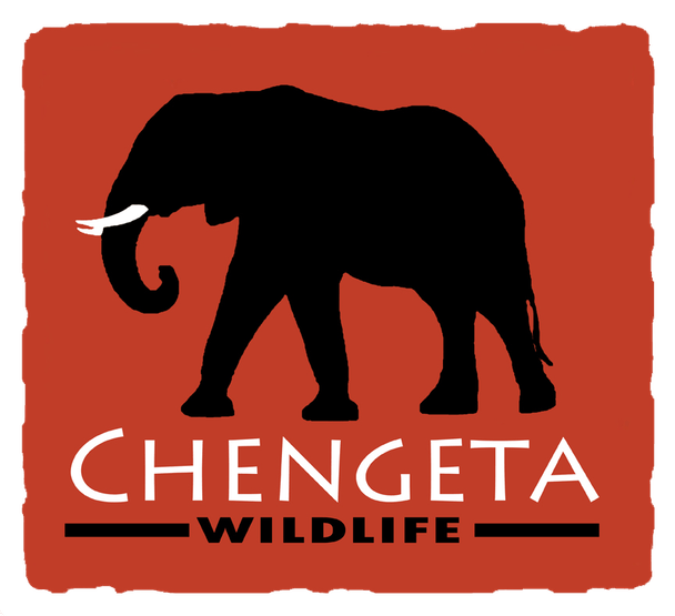Chengeta Wildlife