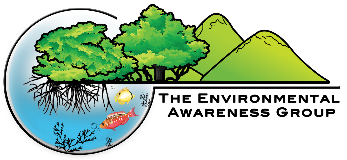 Environmental Awareness Group