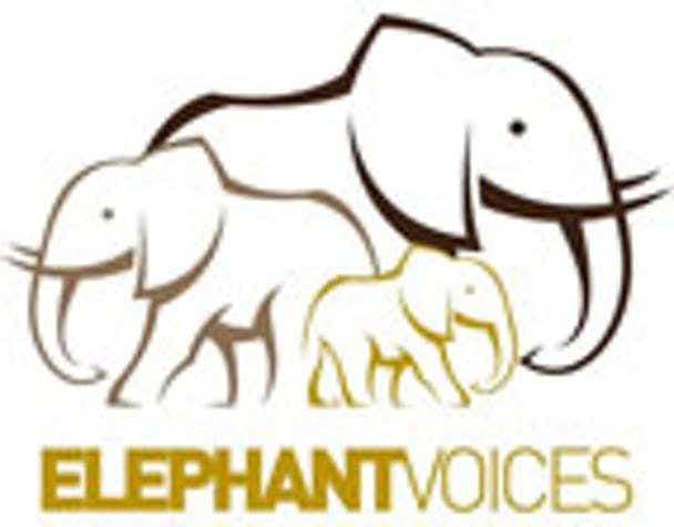Elephant Voices