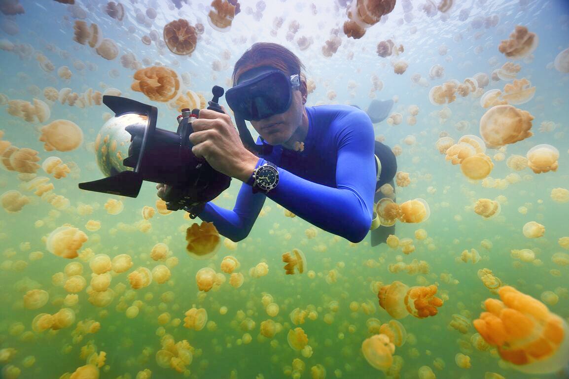 EnricJellyfishLakePalau MSF43551