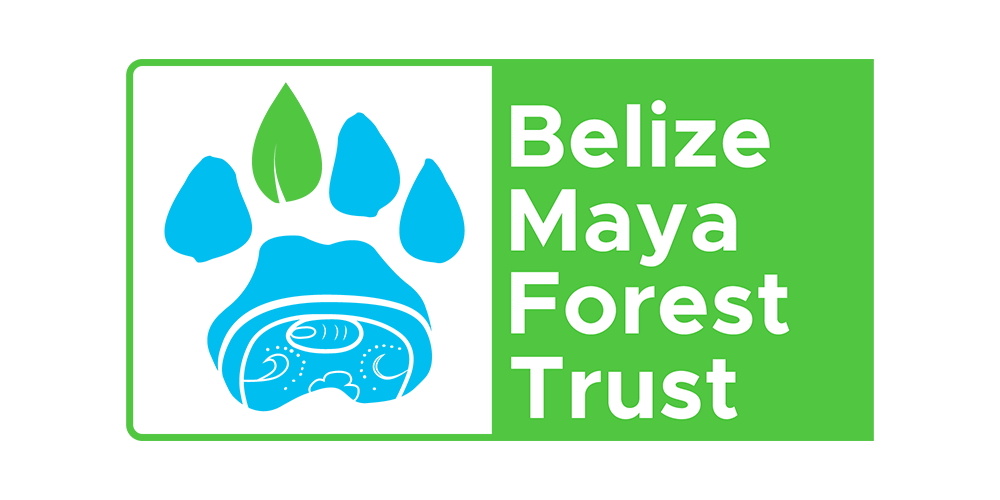 BelizeMayaForestTrust.