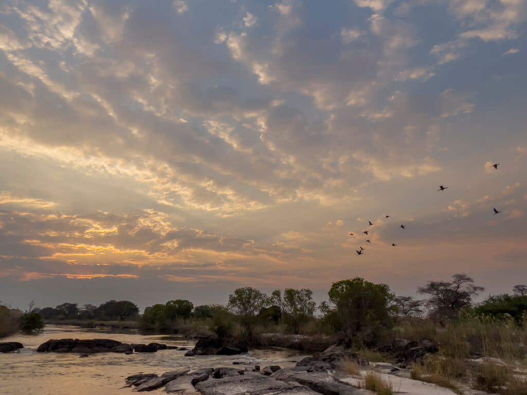 Okavango landscape