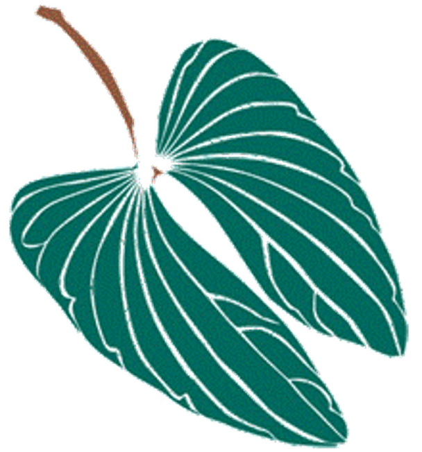 Integrated Rural Development and Nature Conservation (IRDNC)