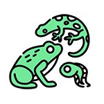 Icons V02-05resized3