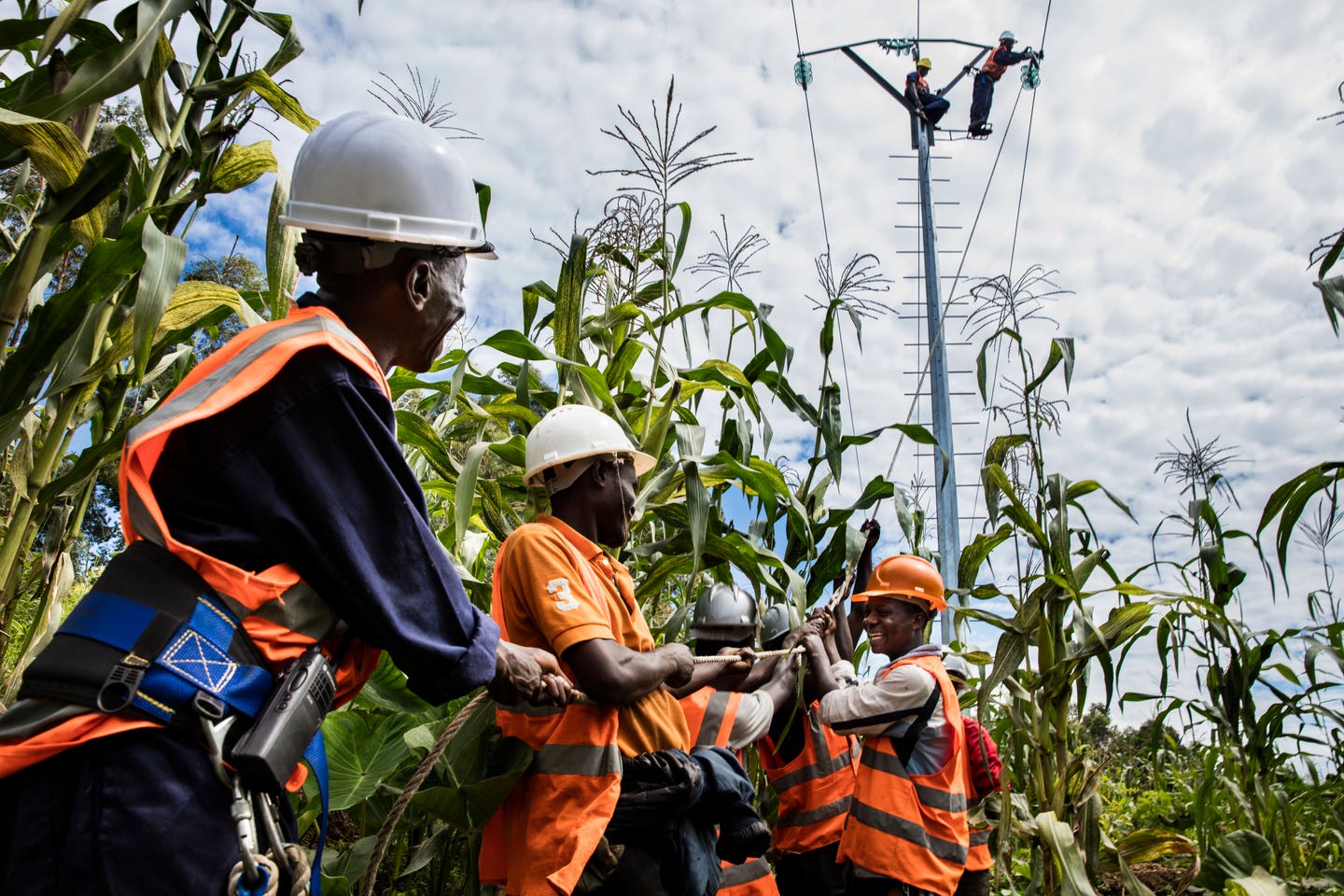 Matebe network Virunga