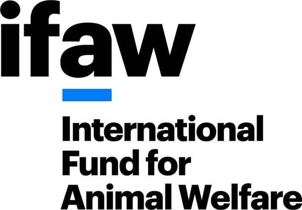International Fund for Animal Welfare (IFAW)