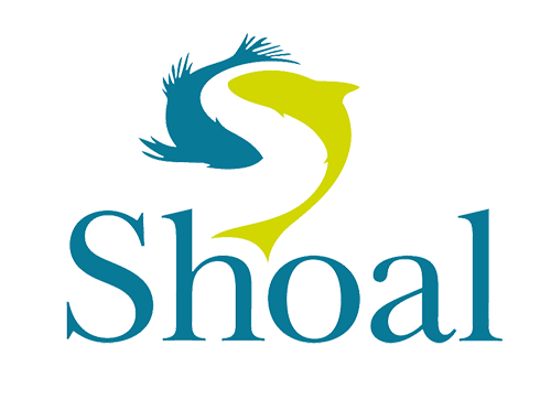Shoal