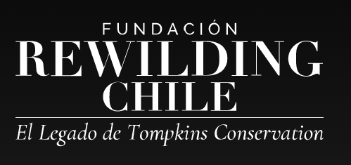 Rewilding Chile