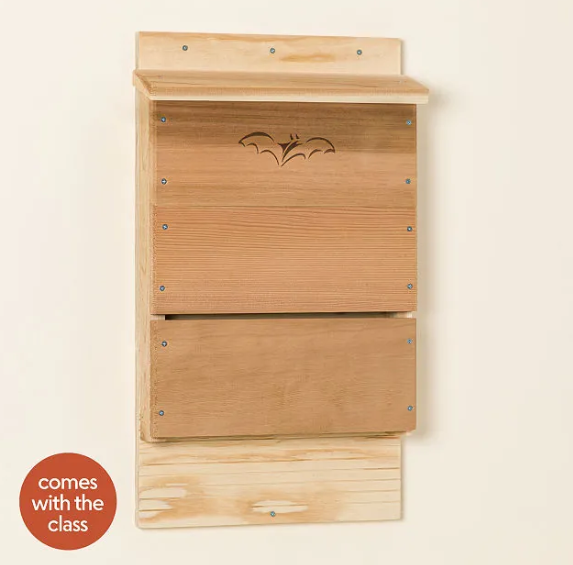 Uncommon Goods_Batbox